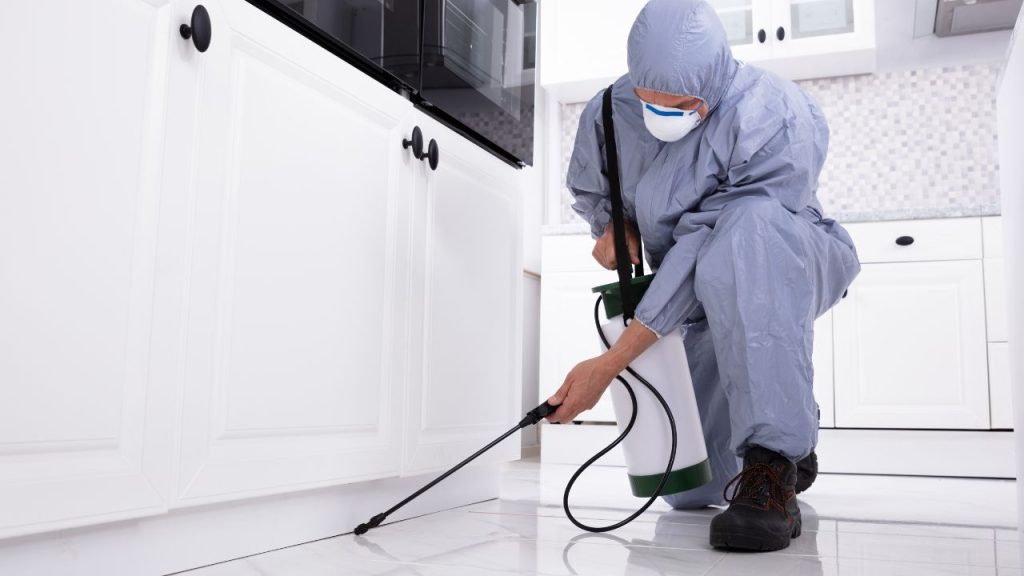 Pest Control Services Wilmington Nc