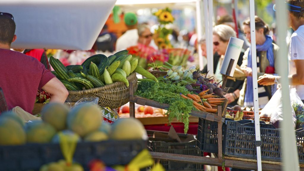 Farmers Market Wilmington Nc